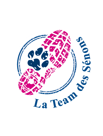 Cross Triathlon des Sénons - Gron