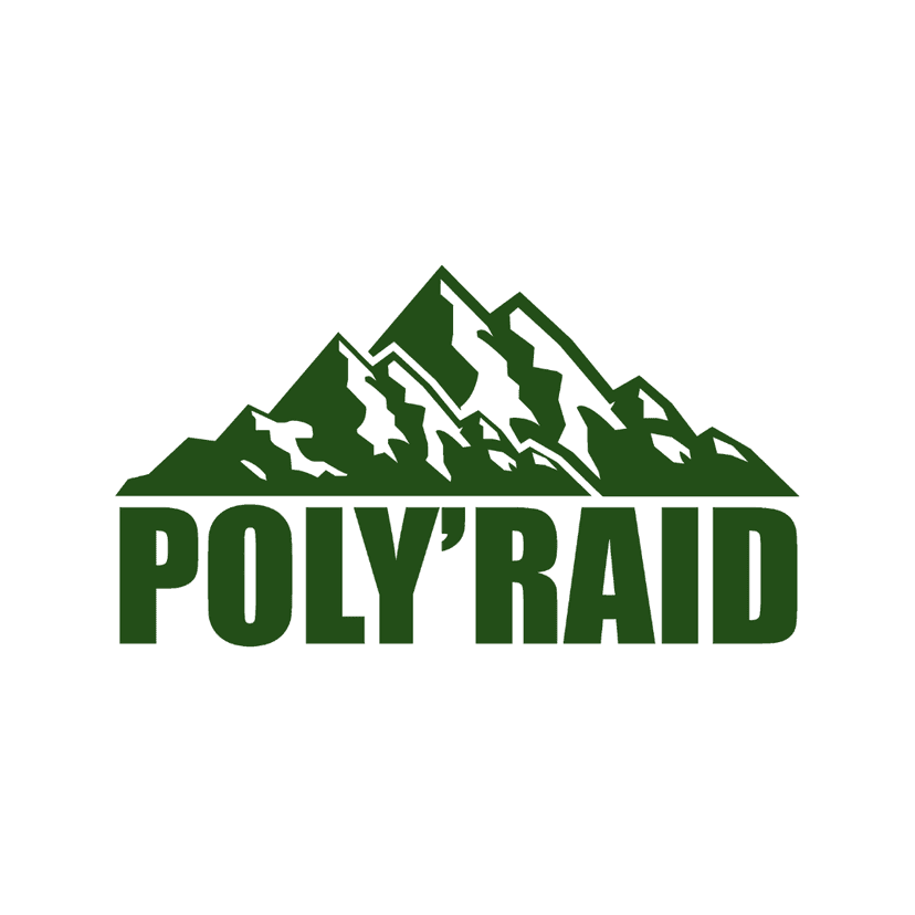 Poly Raid